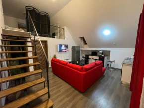 Dragoș Penthouse Residence